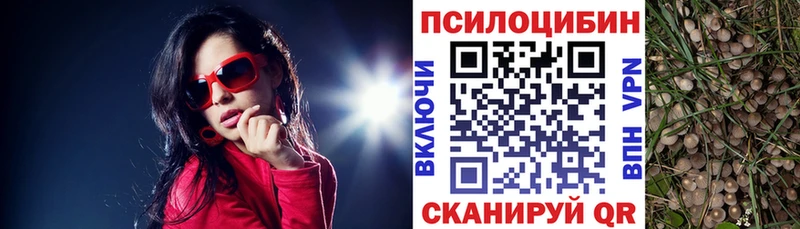 Псилоцибиновые грибы Psilocybine cubensis  Плавск 